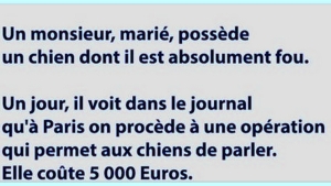 Illustration : "Un monsieur marié possède un chien dont il est complètement fou..."