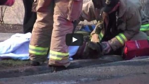 Illustration : "Ces pompiers viennent de sauver un chien pris dans un incendie. Chapeau les gars !"