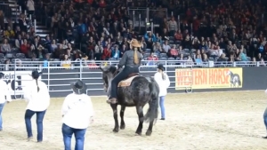 Illustration : "Une chorégraphie de country réalisée par cinq danseurs... et un cheval"