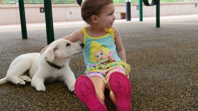 Illustration : La magnifique amitié naissante entre une fillette amputée des deux pieds et un chien auquel il manque une patte