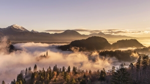 Illustration : "Le lac Bled en Slovénie, sublimé par le lever du soleil"