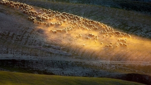 Illustration : "La Toscane comme vous ne l'aviez jamais vue, par le photographe polonais Marcin Sobas"