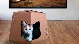 Illustration : "Des maisons en carton conçues spécialement pour les chats !  Une idée lumineuse..."