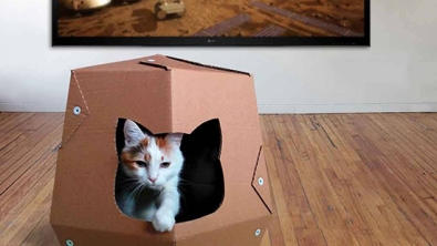 Illustration : Des maisons en carton conçues spécialement pour les chats !  Une idée lumineuse...