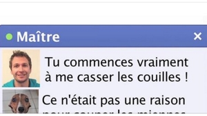 Illustration : "Et si nos animaux avaient un facebook ? Voilà à quoi ça ressemblerait !  "