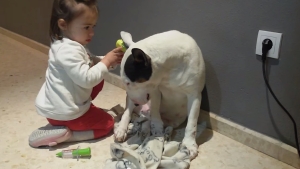 Illustration : "Elle joue au docteur avec son chien, le plus adorable des patients..."