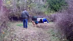 Illustration : "Cet inconnu vient de sauver un chien qui a été enchaîné toute sa vie..."