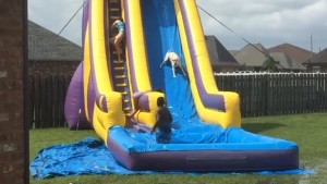 Illustration : "Il n'y a pas que les enfants qui s'amusent sur ce toboggan"