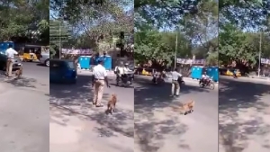 Illustration : "En Inde, un agent de police fait traverser la route à un chien errant"