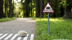 Illustration : "Des mini panneaux de signalisation pour faire davantage attention aux animaux"