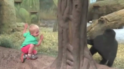 Illustration : Un enfant et un jeune gorille jouent à cache-cache