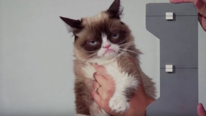 Illustration : "Cheers ! Grumpy Cat va avoir sa statue de cire chez Madame Tussauds"