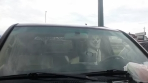 Illustration : "Ce chien en a visiblement marre d'être laissé seul dans la voiture"