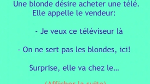 Illustration : "Une blonde cherche à acheter une télévision..."