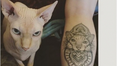 Illustration : Ces personnes qui ont choisi de se faire tatouer les portraits de leurs chats adorés