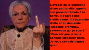 Illustration : "L'avocat fait venir une vieille dame à la barre et lui demande si elle le connaît... Il le regrette immédiatement !"