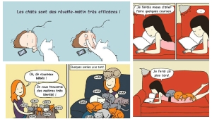 Illustration : "Ce quelques bandes dessinées très drôles résument parfaitement ce qu'est le quotidien quand on a un chat ! "