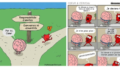 Illustration : Les différentes façons de penser du coeur et du cerveau, le tout illustré dans une bande dessinée ! Cerveau Vs Coeur...