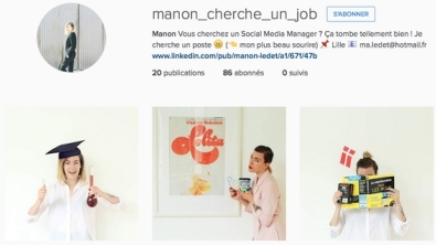 Illustration : Elle cherche désespérément un emploi et rédige le meilleur Cv du siècle... Sur Instagram ! Prenez-en de la graine !