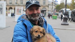 Illustration : "Le chien volé au SDF a enfin retrouvé son maître !"