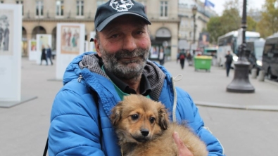 Illustration : Le chien volé au SDF a enfin retrouvé son maître !