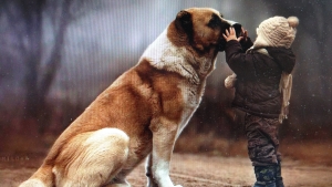 Illustration : "Les enfants qui grandissent avec un chien seraient mieux protégés contre l'asthme"