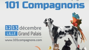 Illustration : "Venez découvrir le Salon des Animaux de Compagnie à Lille le 12 et 13 décembre 2015 !"