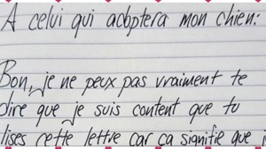 Illustration : "Je tenais à adopter un chien et j'ai reçu cette lettre de la Spa ! Je n'ai pas pu retenir mes larmes..."