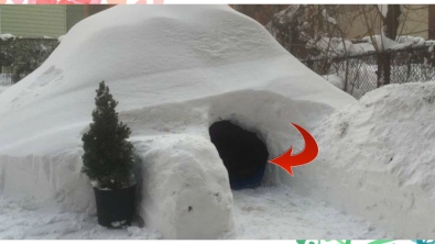 Illustration : Il construit un igloo et le met à louer sur Airbnb… Ces derniers suppriment l’annonce et lui envoient un msg teinté d’humour !