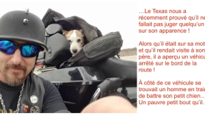 Illustration : "Un fou frappe son chien sur le bord d'une route... Voici ce qu'un motard a fait !"