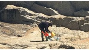 Illustration : "SDF, il passe TOUT son temps sur la plage pour une raison magnifique ! Et sa vie a bien changé depuis..."