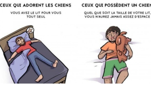 Illustration : "Aimer un chien et en avoir un... Deux choses bien différentes ! Voici 7 différences flagrantes..."