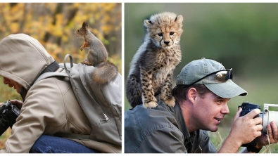 Illustration : Ces animaux qui n'ont visiblement pas peur des photographes qu'ils rencontrent... 26 clichés magnifiques !