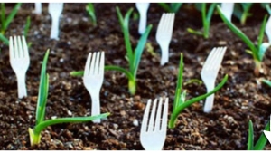 Illustration : "Elle utilise des fourchettes en plastique qu'elle plante dans son jardin ! Une idée de génie..."