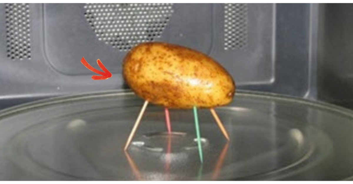 Placer 4 Cure Dents Dans Une Patate De Cette Manière Une Astuce Que Jaurais Aimé Connaître 