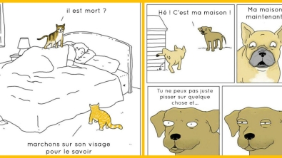 Illustration : Et si les animaux se mettaient à parler...