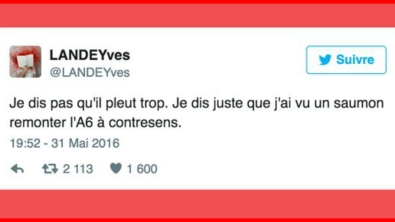 Illustration : Top 22 des tweets les plus hilarants concernant cette météo de merde... Mieux vaut en rire !