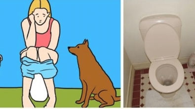 Illustration : Voici pourquoi votre chien ne peut s'empêcher de vous suivre aux toilettes ! C'est surprenant.