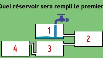 Illustration : Seules 12 personnes sur 100 trouvent la bonne réponse du premier coup ! 